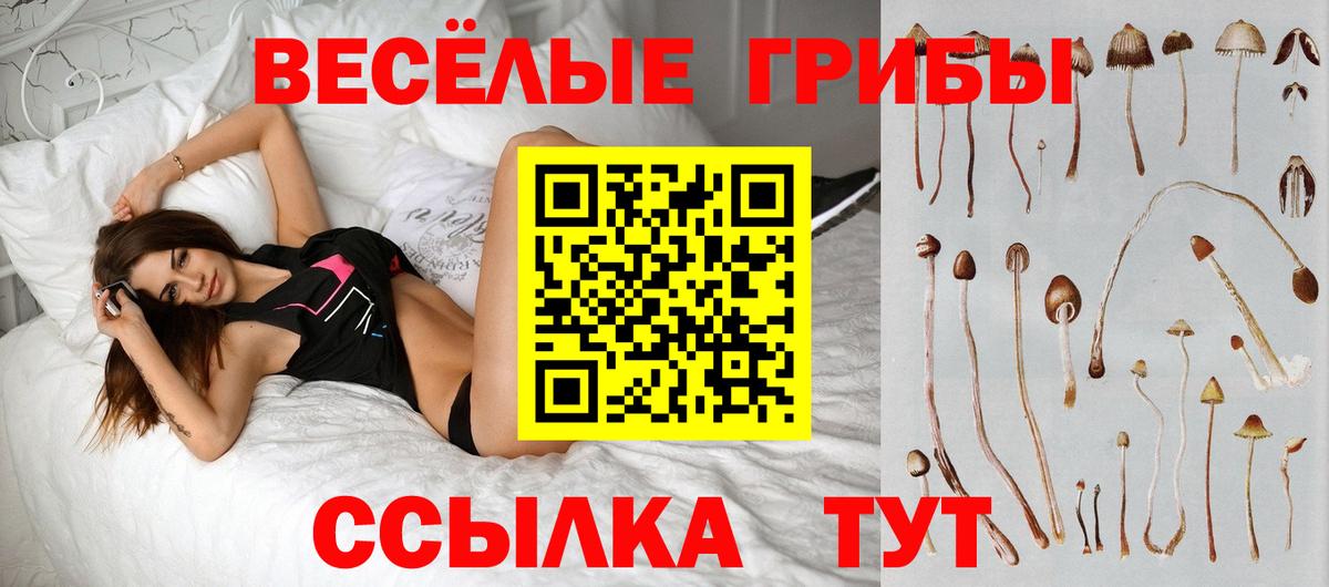 Егорьевск  Псилоцибиновые грибы GOLDEN TEACHER  где можно купить   Вход с VPN 
